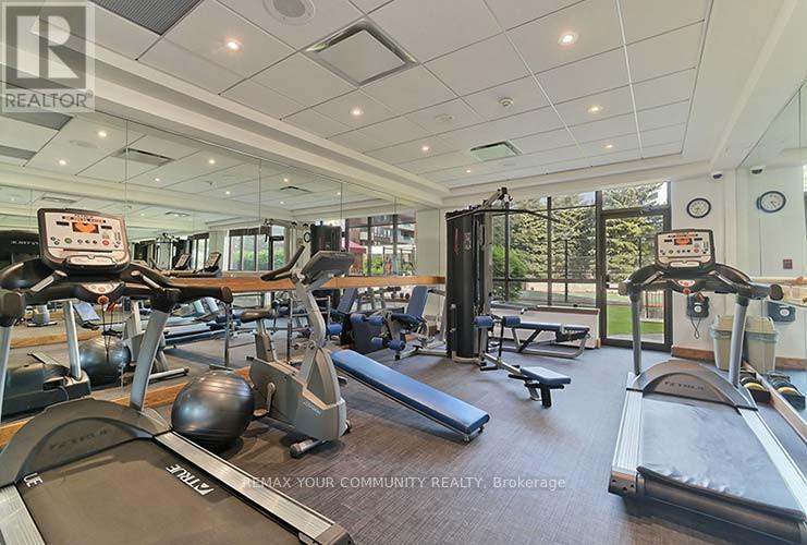 304 - 100 Observatory Lane W, Richmond Hill, Ontario  L4C 1T4 - Photo 30 - N12722060