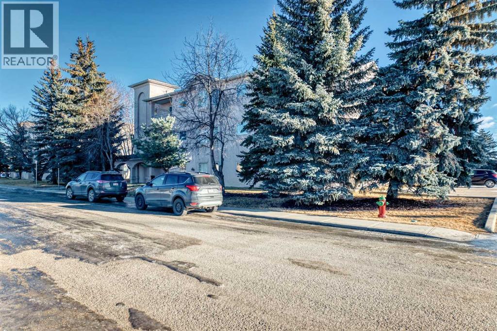 205, 7 Lineham Avenue, Okotoks, Alberta  T1S 1Z2 - Photo 39 - A2280969