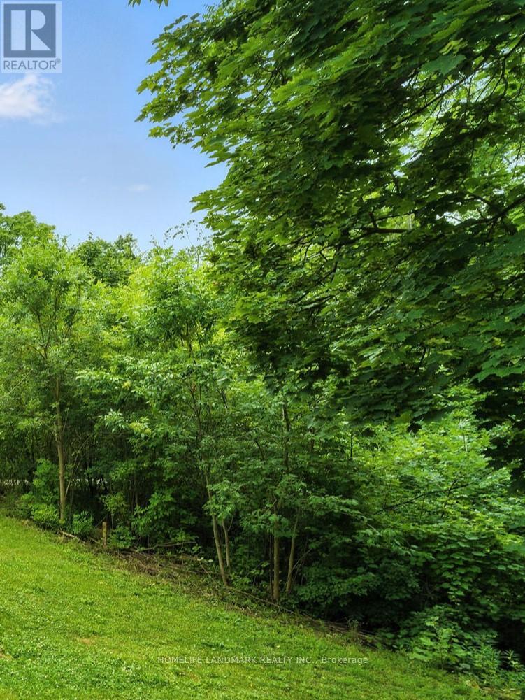 38 Woodrow Street, St. Catharines, Ontario  L2P 2A2 - Photo 27 - X12722106