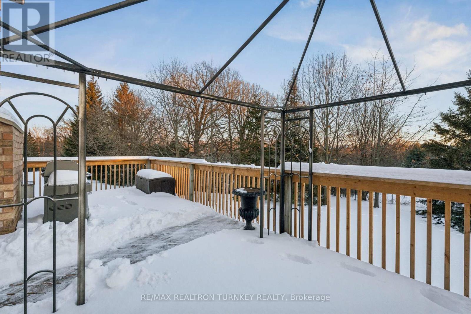 440 Morley Cook Crescent, Newmarket, Ontario  L3X 2M3 - Photo 42 - N12722240