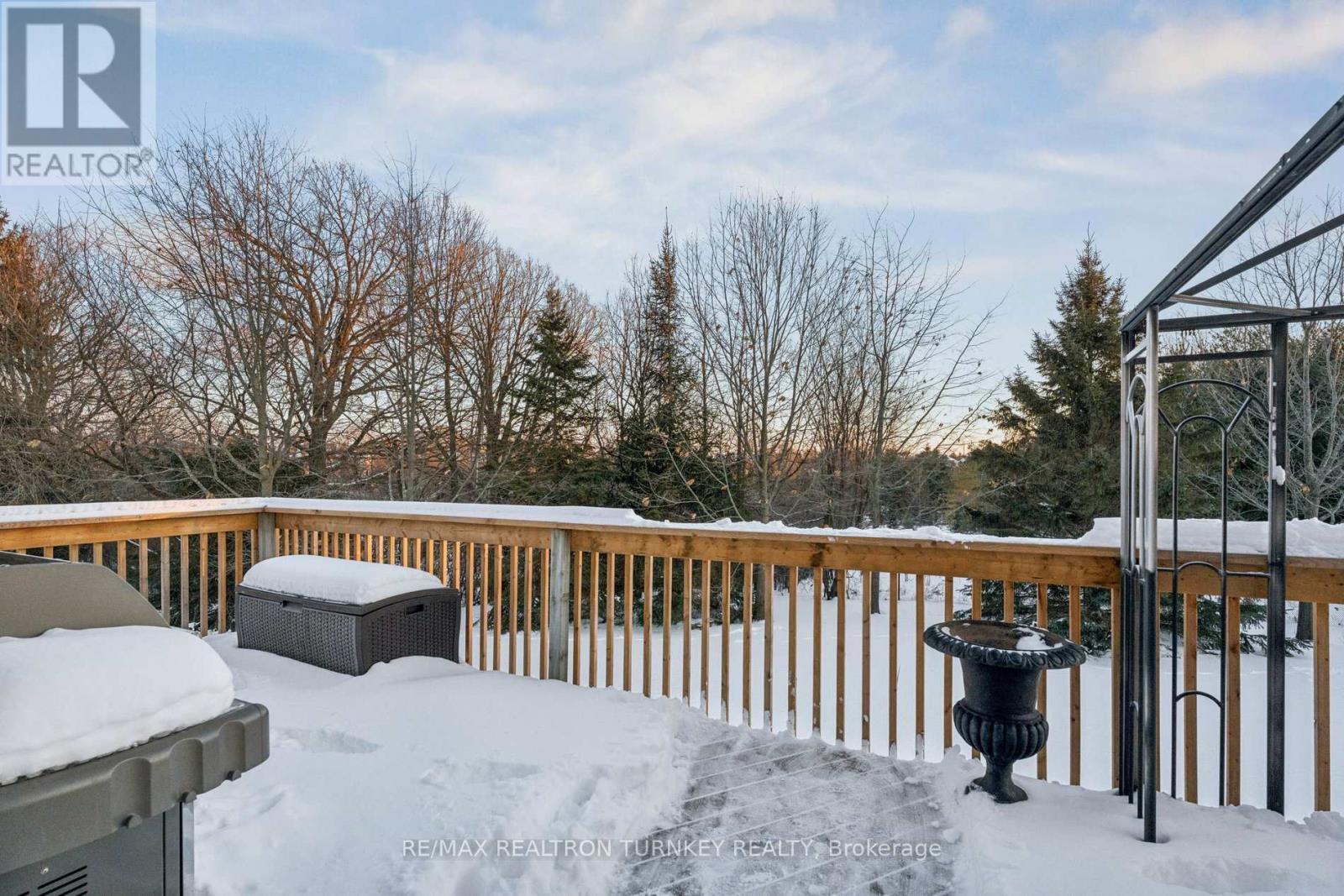 440 Morley Cook Crescent, Newmarket, Ontario  L3X 2M3 - Photo 44 - N12722240