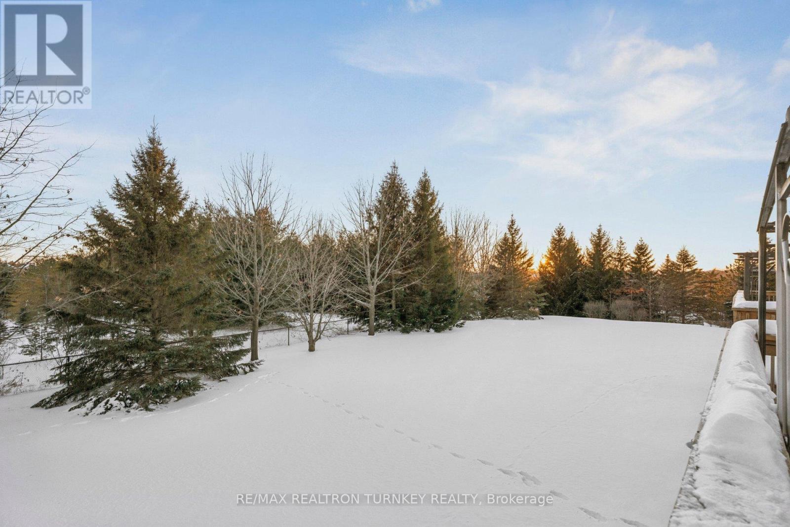 440 Morley Cook Crescent, Newmarket, Ontario  L3X 2M3 - Photo 45 - N12722240