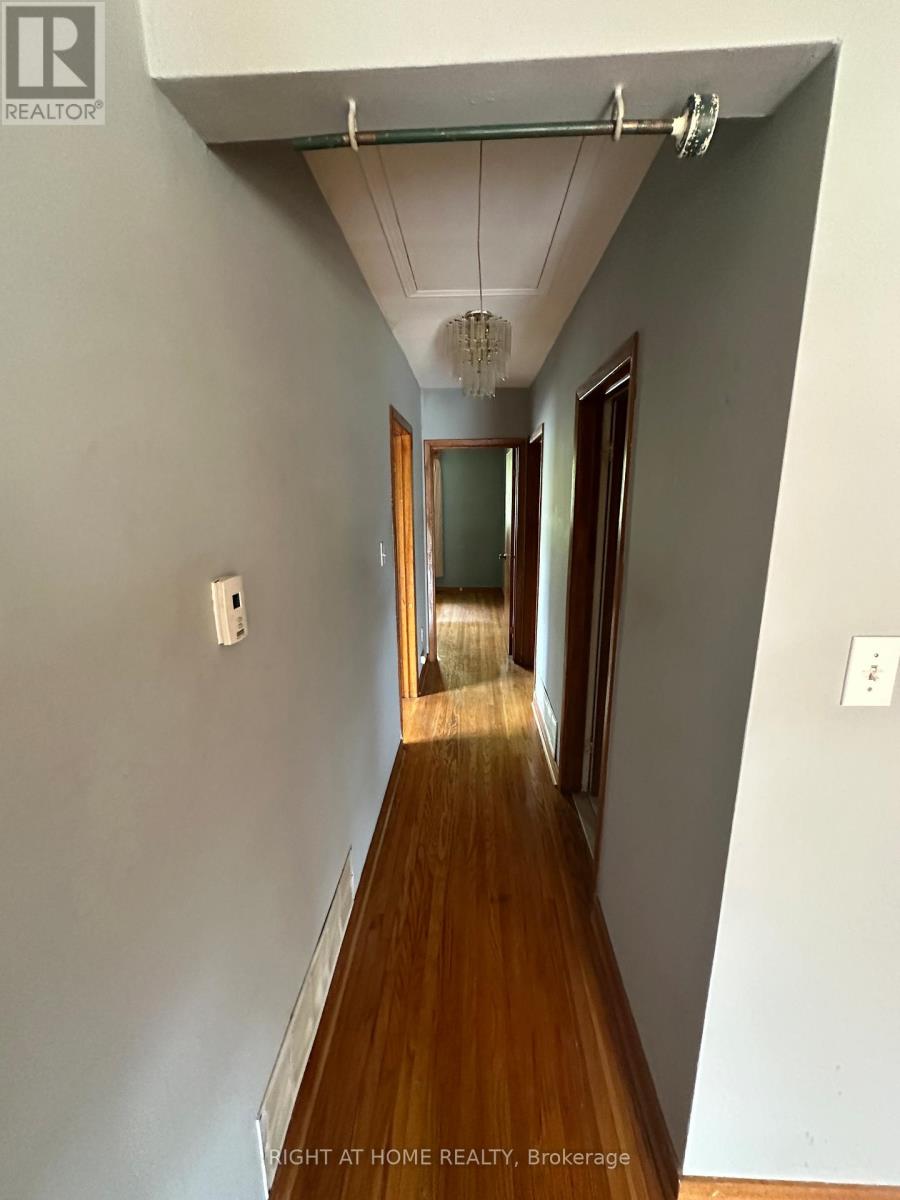 Upstairs Only - 31 Aloma Crescent, Brampton, Ontario  L6T 2N8 - Photo 10 - W12722220