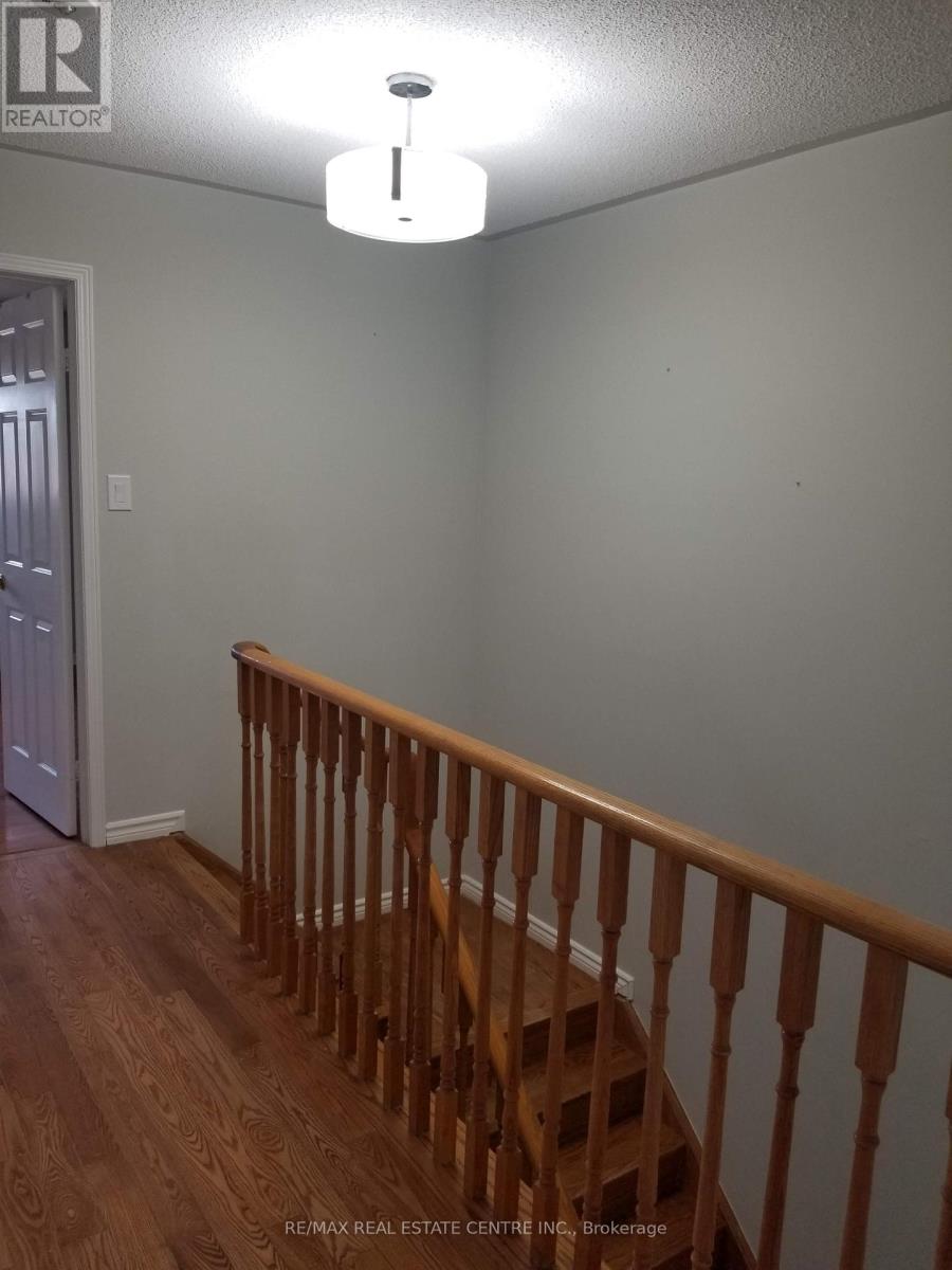 Main - 55 Tulip Drive, Brampton, Ontario  L6Y 3W3 - Photo 13 - W12722248