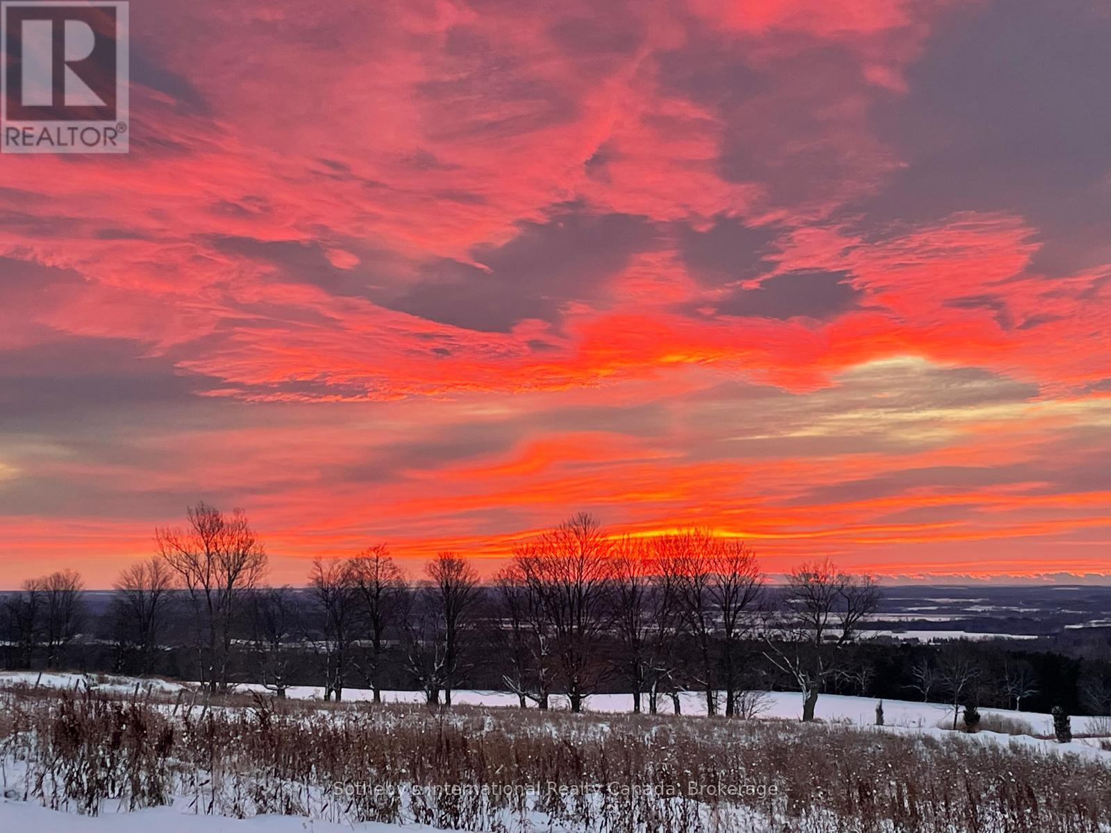 2566 5 Concession S, Clearview, Ontario  L0M 1G0 - Photo 48 - S12722310