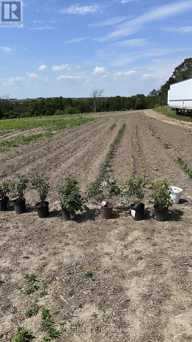 2851 Church Street, Scugog, Ontario  L0B 1B0 - Photo 2 - E12722288