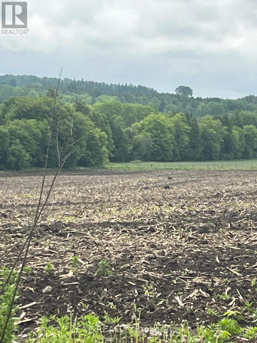 2851 Church Street, Scugog, Ontario  L0B 1B0 - Photo 4 - E12722288