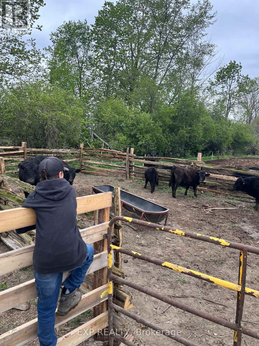 2851 Church Street, Scugog, Ontario  L0B 1B0 - Photo 8 - E12722288