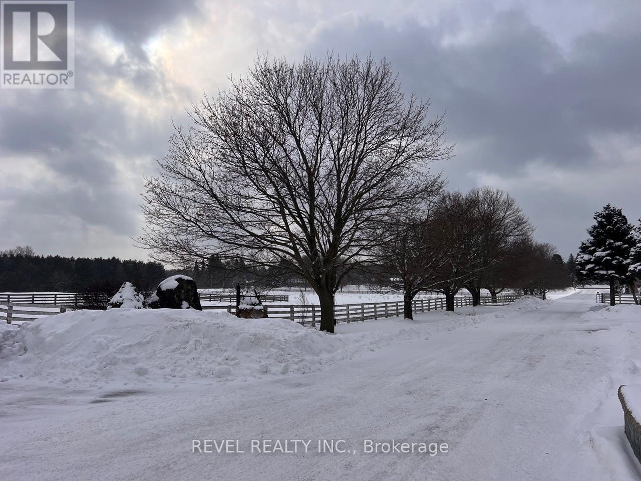 10207 Guelph Line, Milton, Ontario  L0P 1B0 - Photo 7 - W12722286