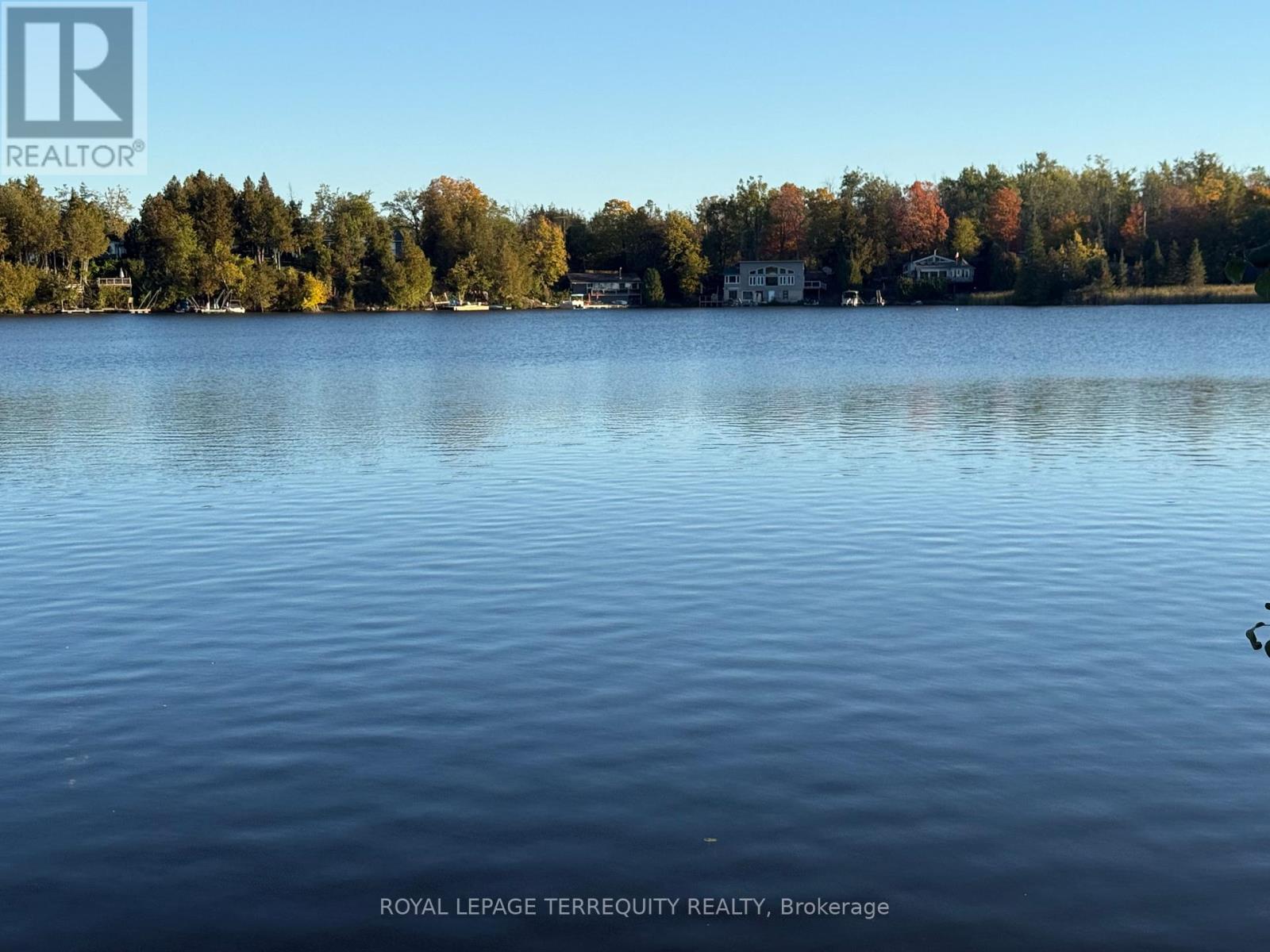 7743 County Rd 50, Trent Hills, Ontario  K0L 1L0 - Photo 7 - X12722282