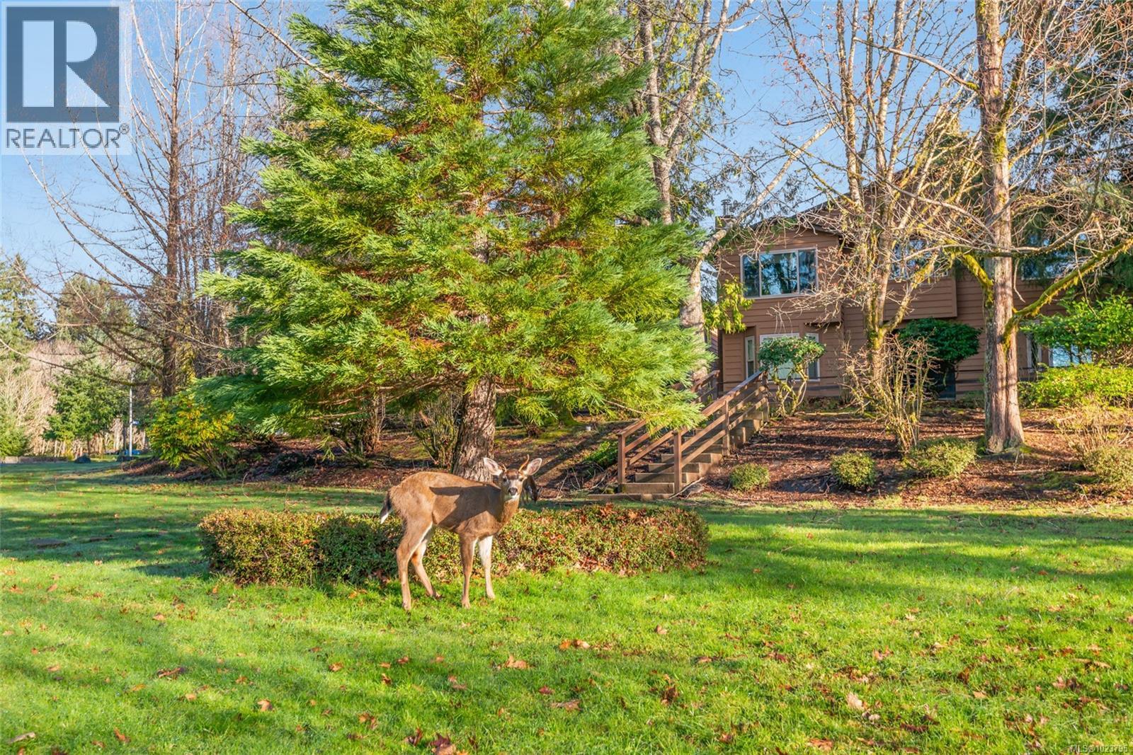 3736 Argyle Way, Port Alberni, British Columbia  V9Y 8A6 - Photo 15 - 1023795