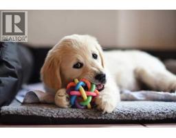 123 Airdrie Pet Store Way, Airdrie, Alberta