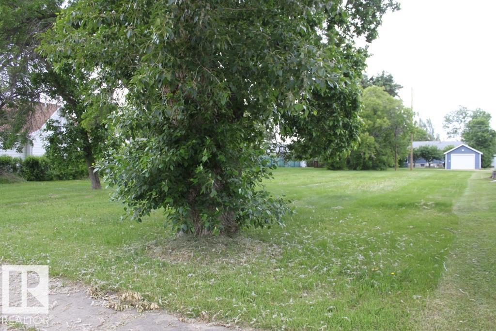 4820 54 Av, Tofield, Alberta  T0B 4J0 - Photo 6 - E4470472