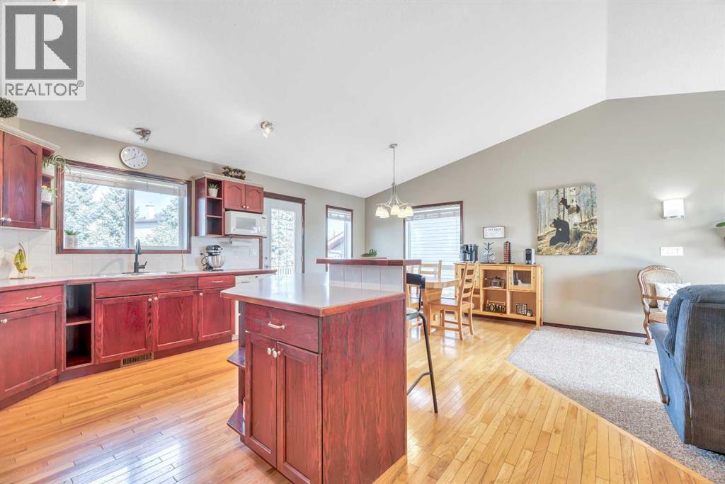 102 Parklane Drive, Strathmore, Alberta  T1P 1R2 - Photo 14 - A2279466