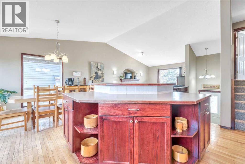 102 Parklane Drive, Strathmore, Alberta  T1P 1R2 - Photo 22 - A2279466