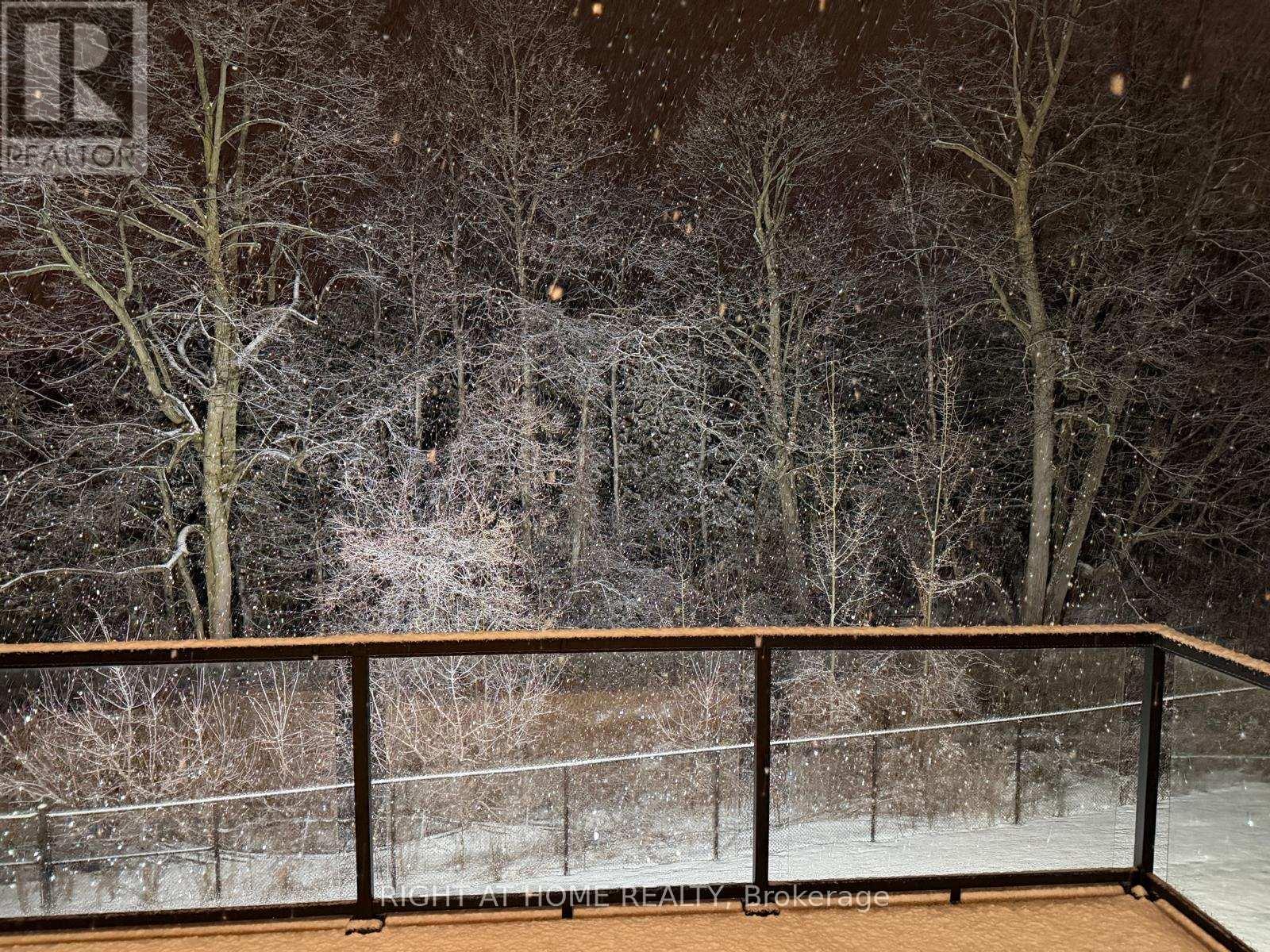 58 Charles White Court, East Gwillimbury, Ontario  L9N 0T7 - Photo 39 - N12722680