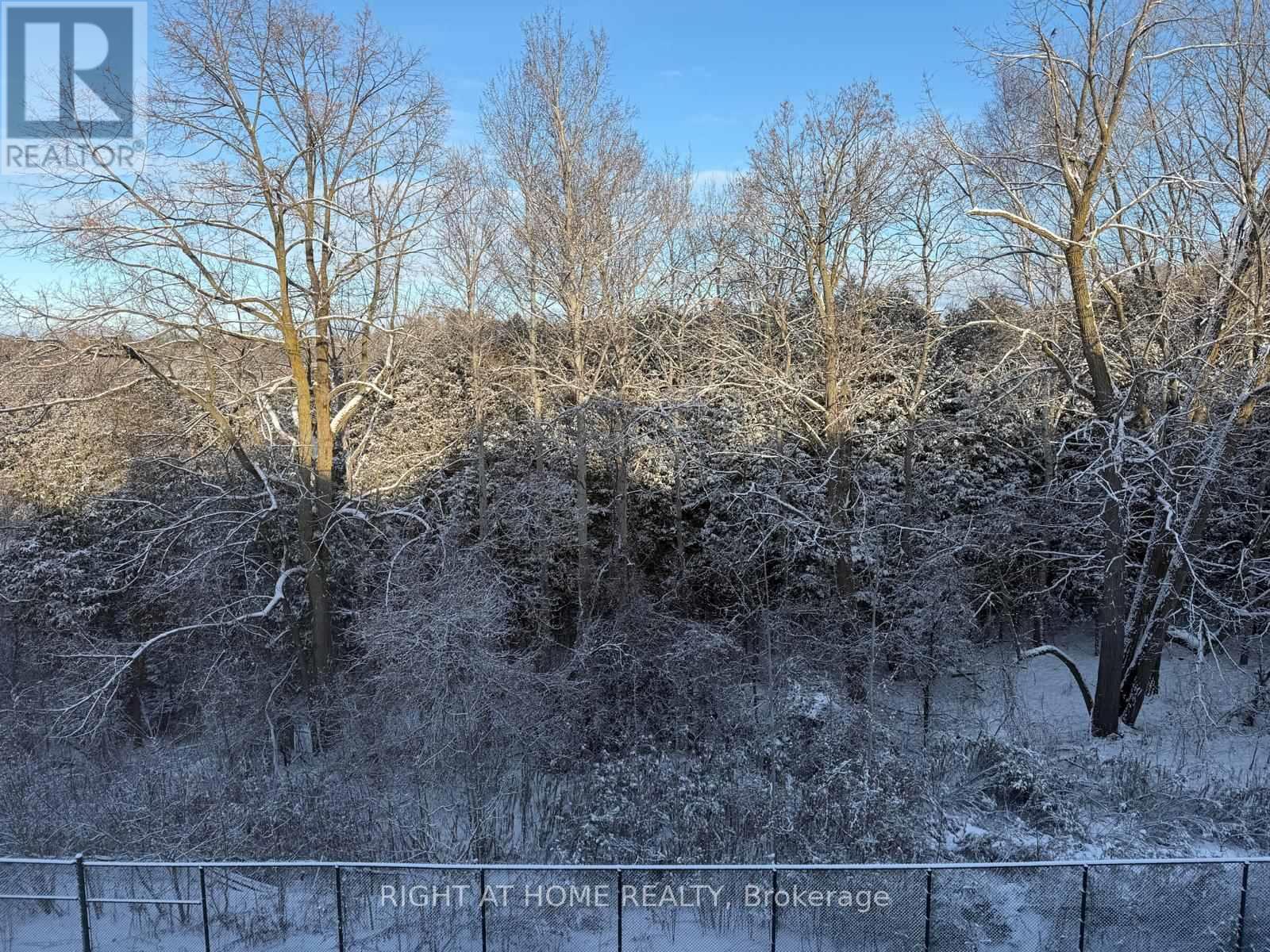 58 Charles White Court, East Gwillimbury, Ontario  L9N 0T7 - Photo 40 - N12722680