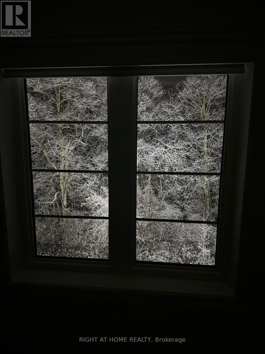 58 Charles White Court, East Gwillimbury, Ontario  L9N 0T7 - Photo 42 - N12722680