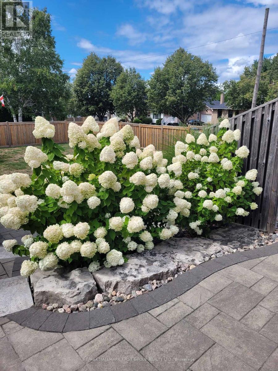 209 Johnson Avenue, Whitby, Ontario  L1N 3T2 - Photo 46 - E12722710