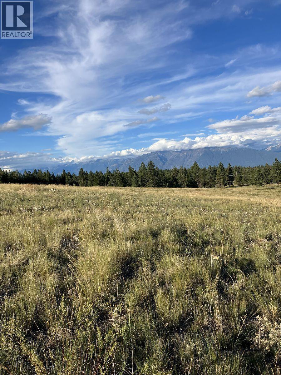 3489 Foster Road, Wycliffe, British Columbia  V1C 4H5 - Photo 10 - 10373272