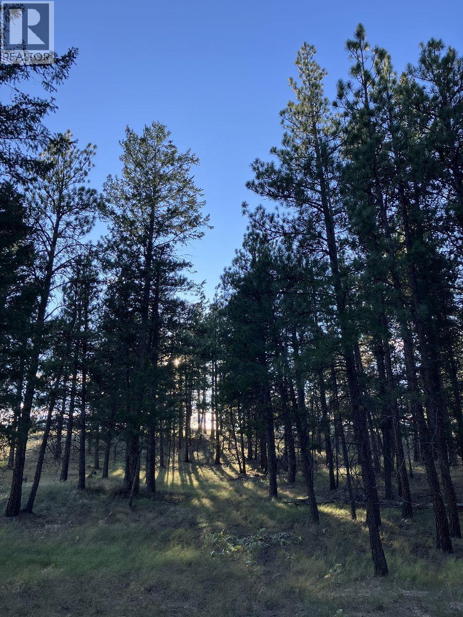 3489 Foster Road, Wycliffe, British Columbia  V1C 4H5 - Photo 13 - 10373272