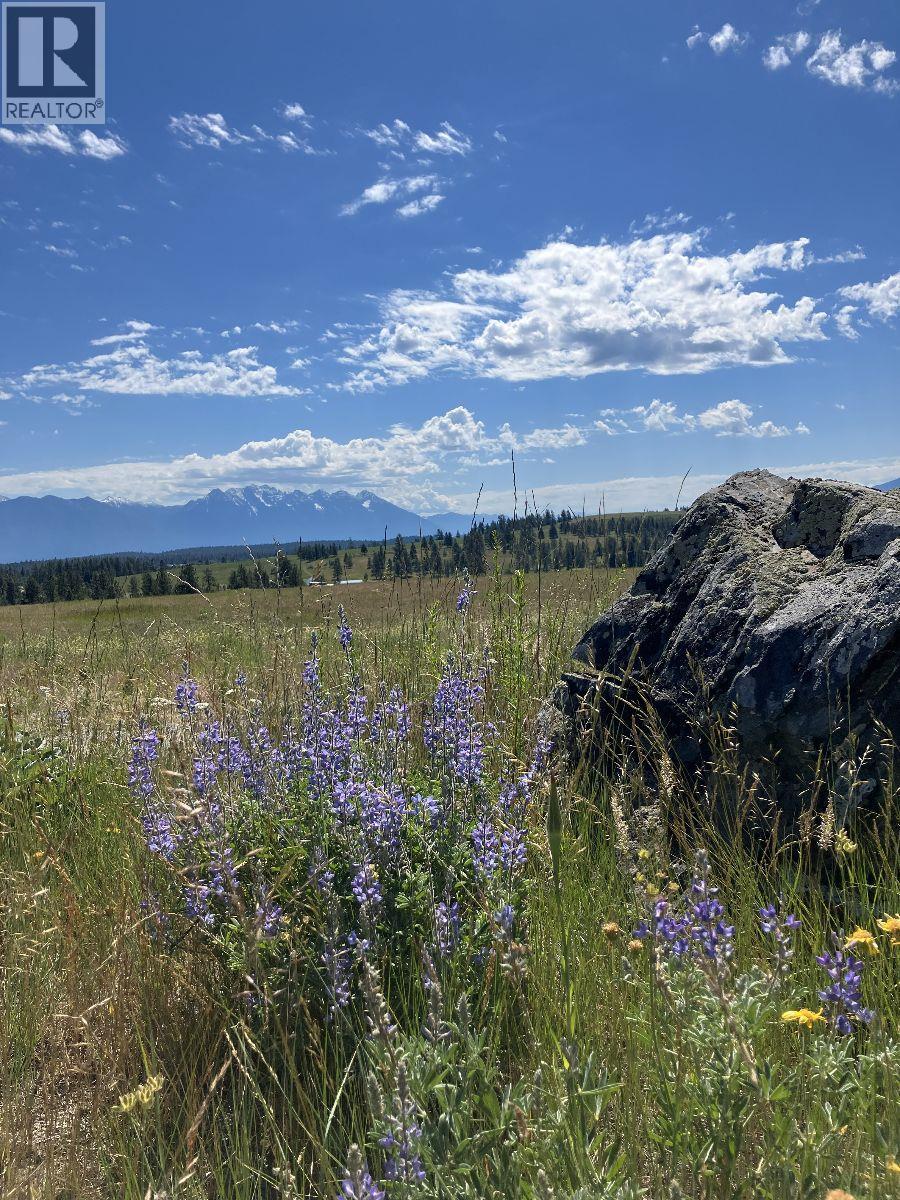 3489 Foster Road, Wycliffe, British Columbia  V1C 4H5 - Photo 2 - 10373272