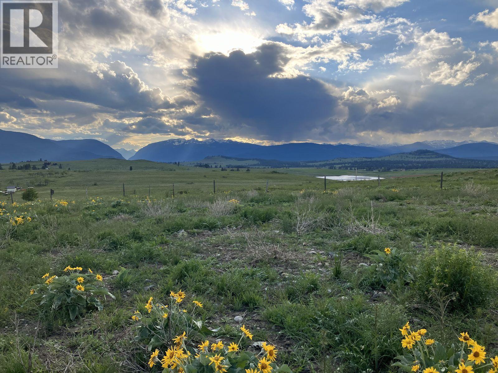 3489 Foster Road, Wycliffe, British Columbia  V1C 4H5 - Photo 5 - 10373272