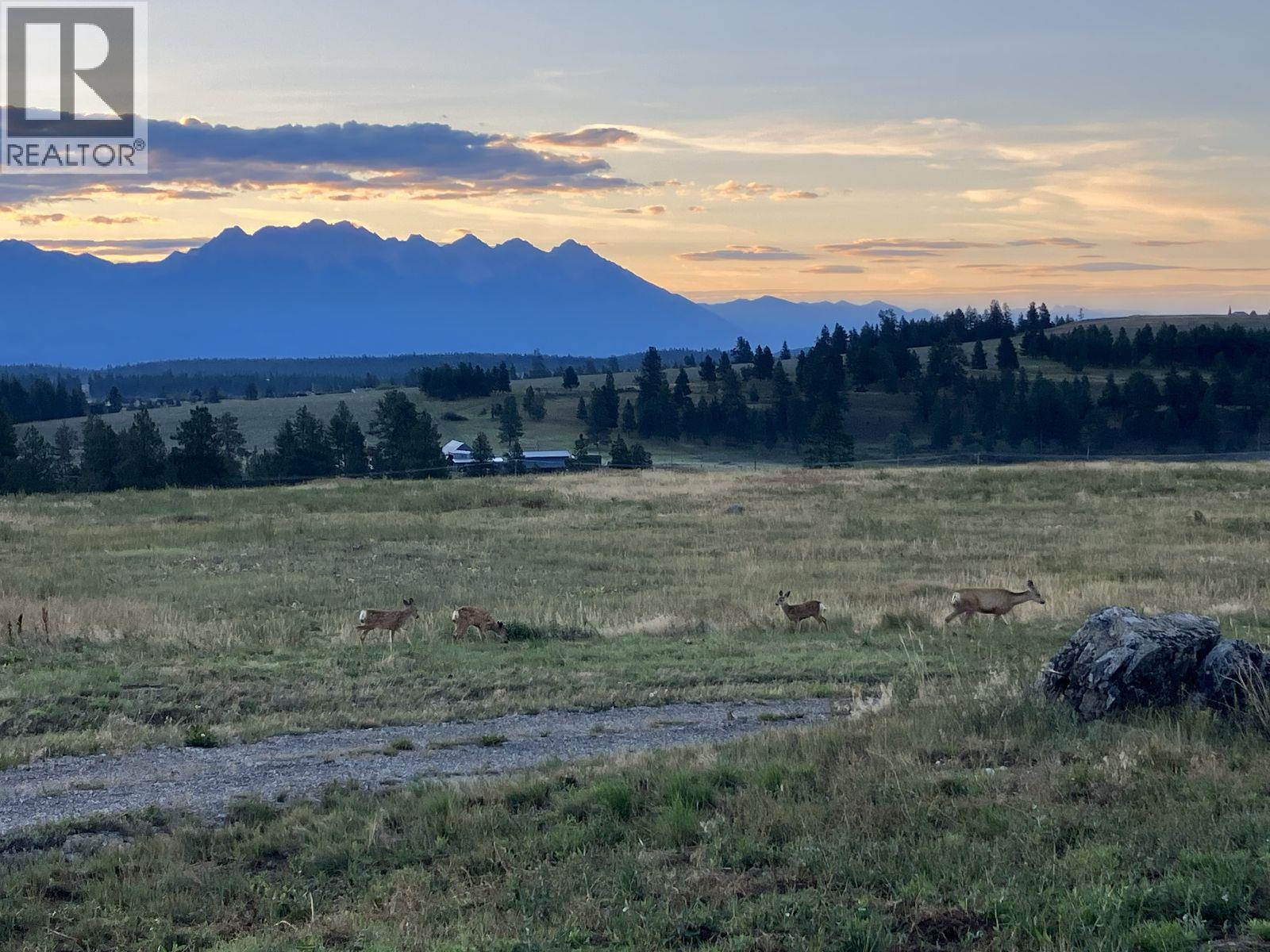 3489 Foster Road, Wycliffe, British Columbia  V1C 4H5 - Photo 6 - 10373272