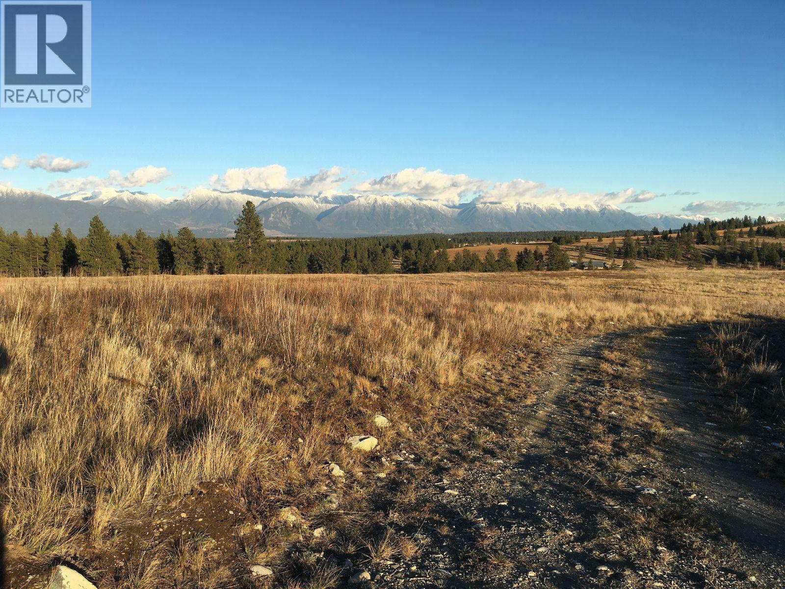 3489 Foster Road, Wycliffe, British Columbia  V1C 4H5 - Photo 7 - 10373272