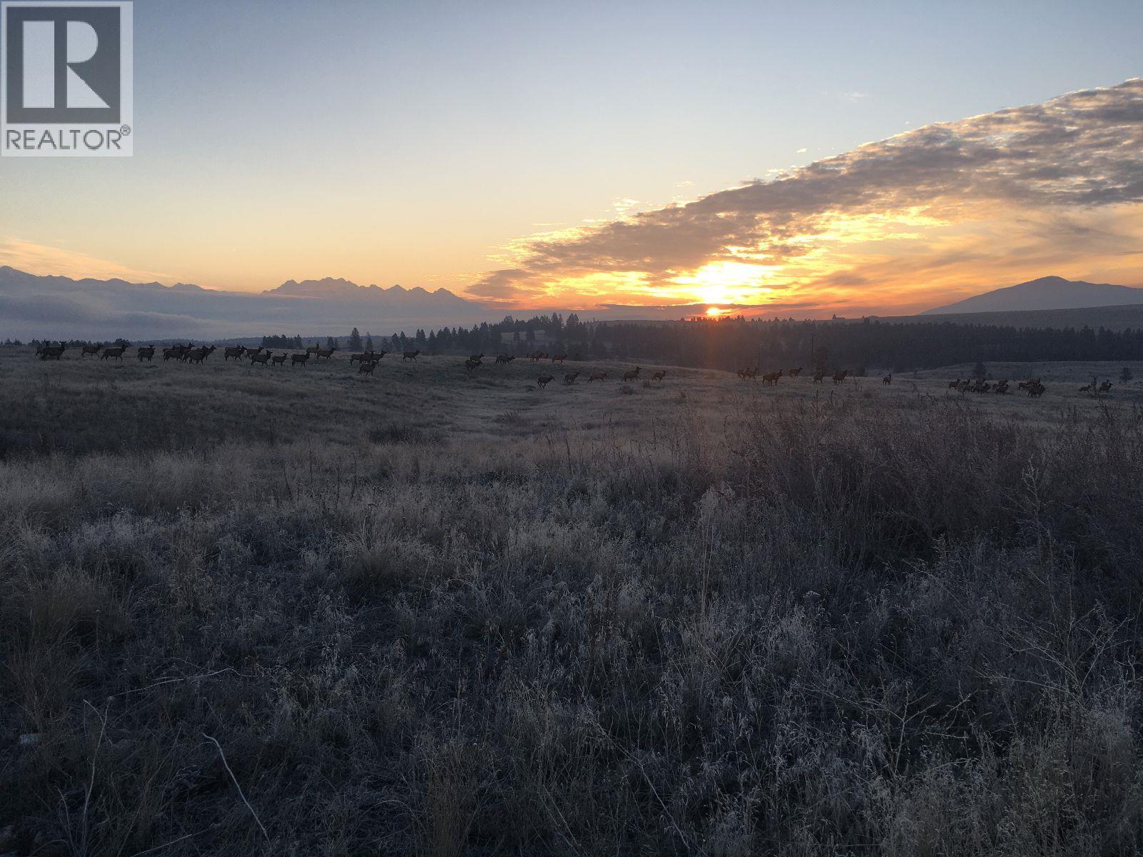 3489 Foster Road, Wycliffe, British Columbia  V1C 4H5 - Photo 8 - 10373272