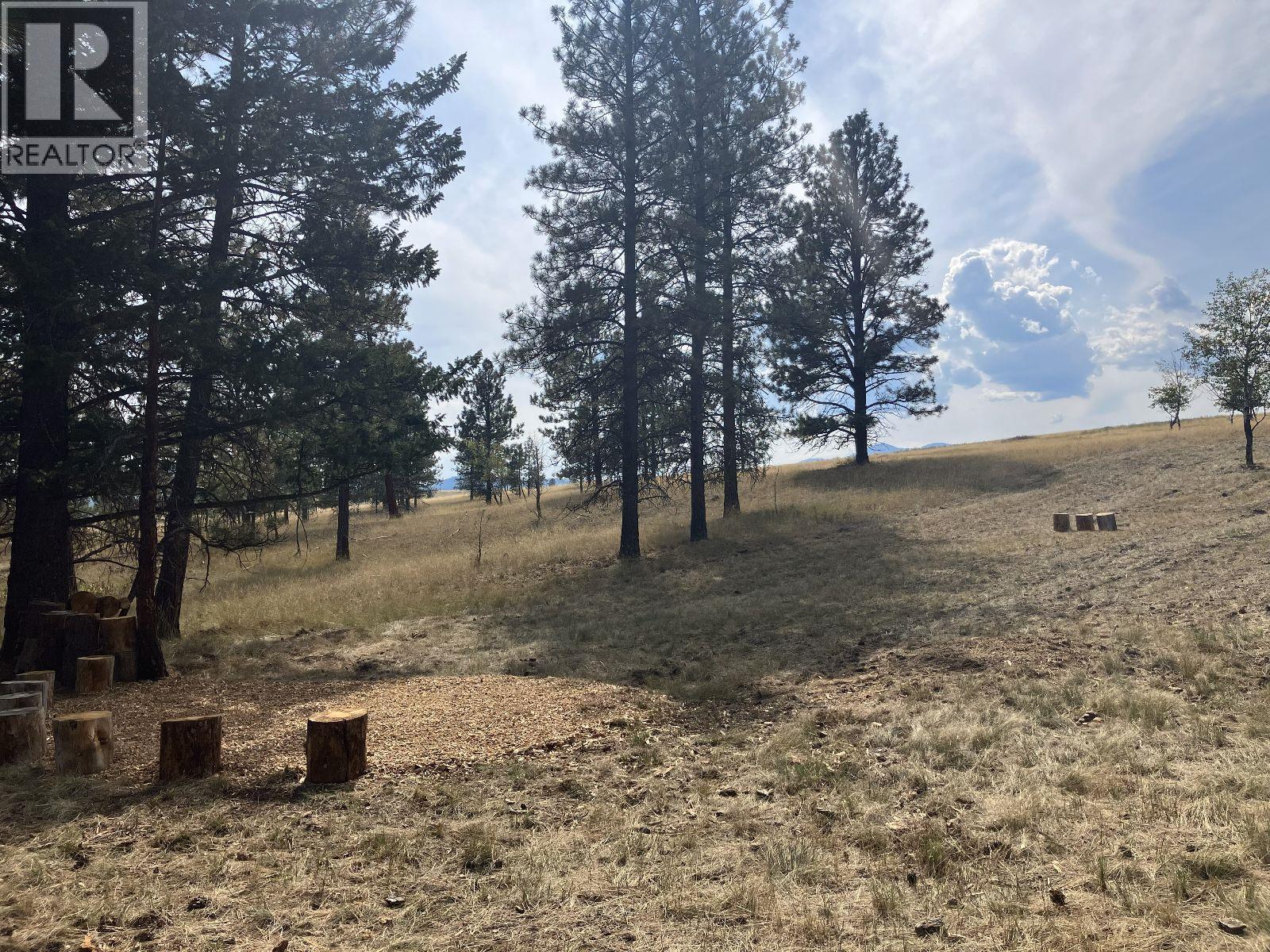 3489 Foster Road, Wycliffe, British Columbia  V1C 4H5 - Photo 9 - 10373272