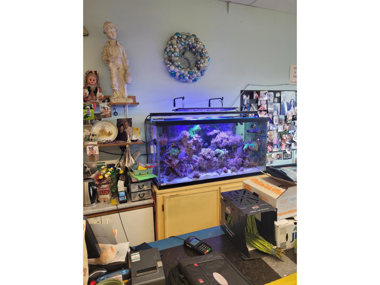 1257 Johnston Road, White Rock, British Columbia  V4B 3Y8 - Photo 9 - C8075462