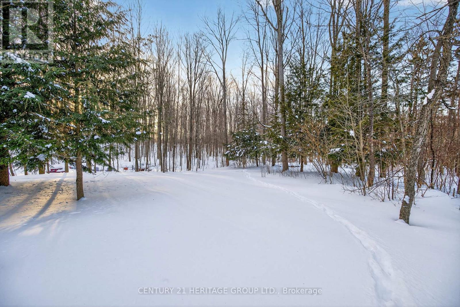 4074 St. John's Side Road, Whitchurch-Stouffville, Ontario  L4A 2T7 - Photo 46 - N12722332