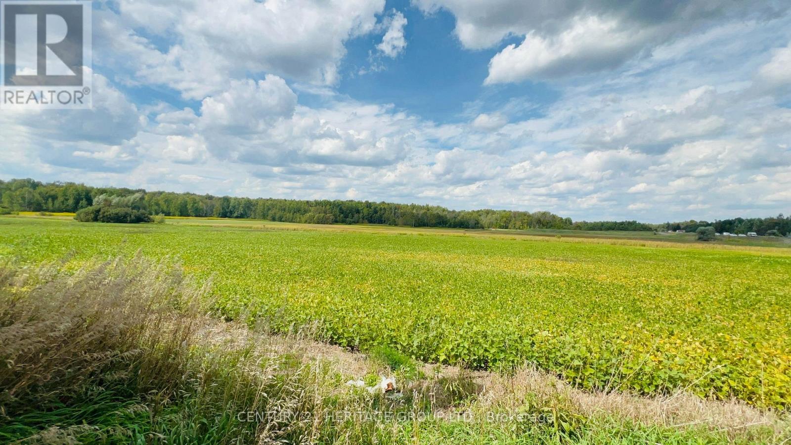 3526 Line 13 Line, Bradford West Gwillimbury, Ontario  L0L 1L0 - Photo 5 - N12722848