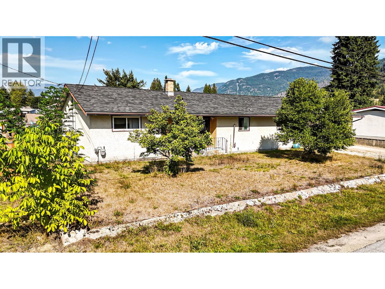 115 101st Street, Castlegar, British Columbia V1N 3E3 - Photo 3 - 10363903