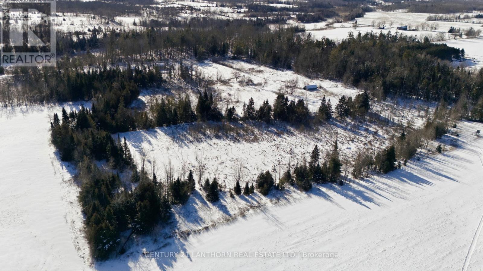 1012 12th Line W, Trent Hills, Ontario  K0L 1Y0 - Photo 9 - X12722922