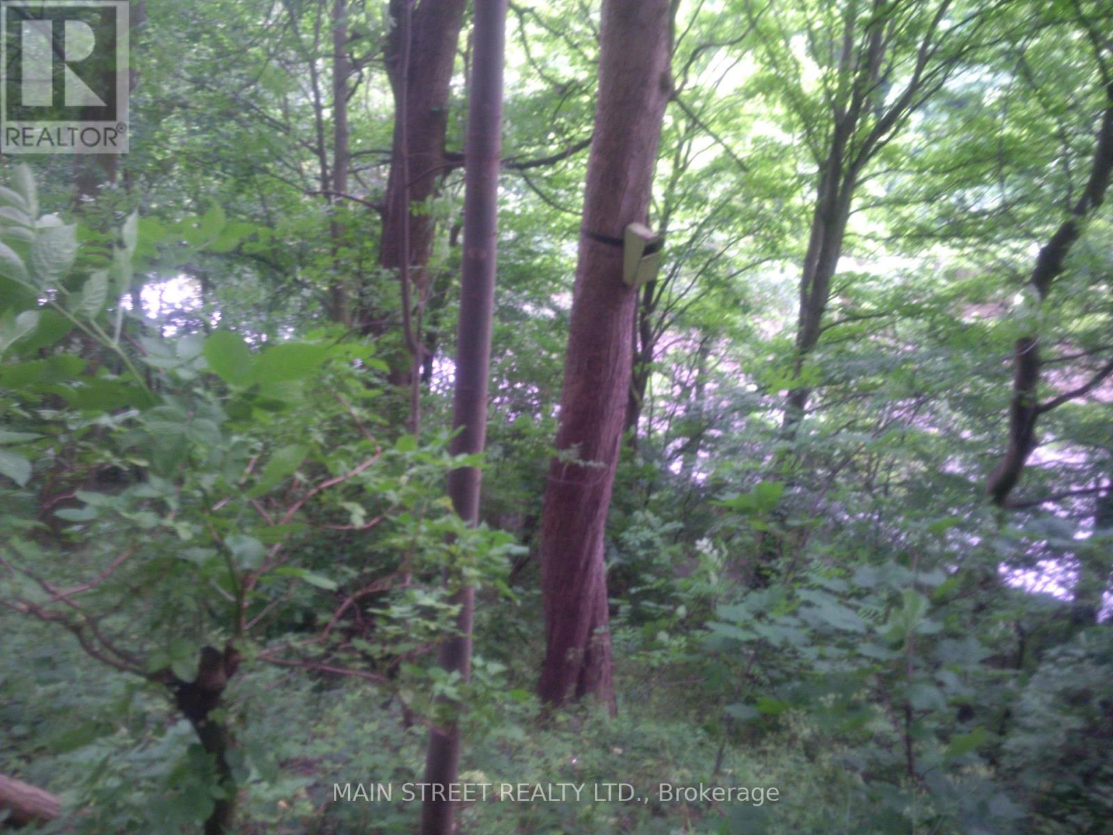 000 Blanchards Road, Kawartha Lakes, Ontario  K0M 2B0 - Photo 3 - X12715058