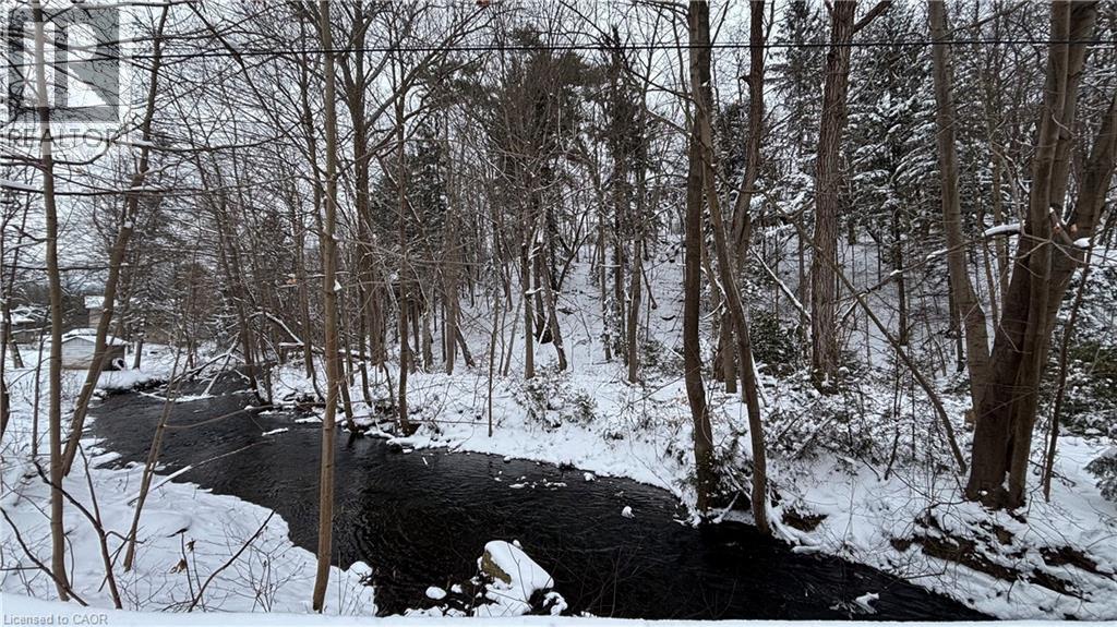 430 Old Mill Road, Delhi, Ontario  N4B 2X7 - Photo 4 - 40799949