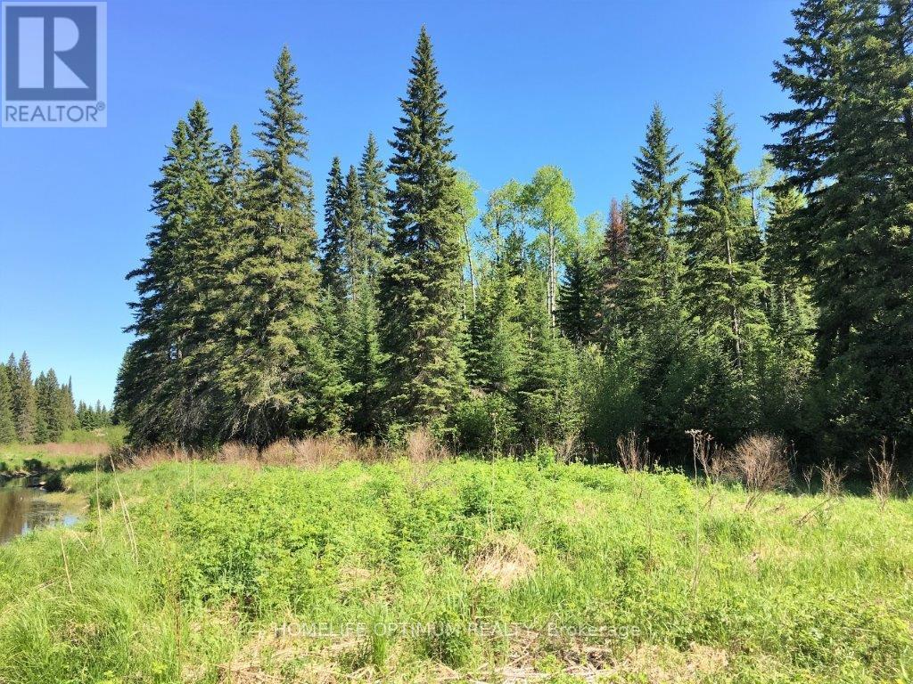 Pcl 8811 N/a, Timmins, Ontario  P4N 2C4 - Photo 10 - T12722972