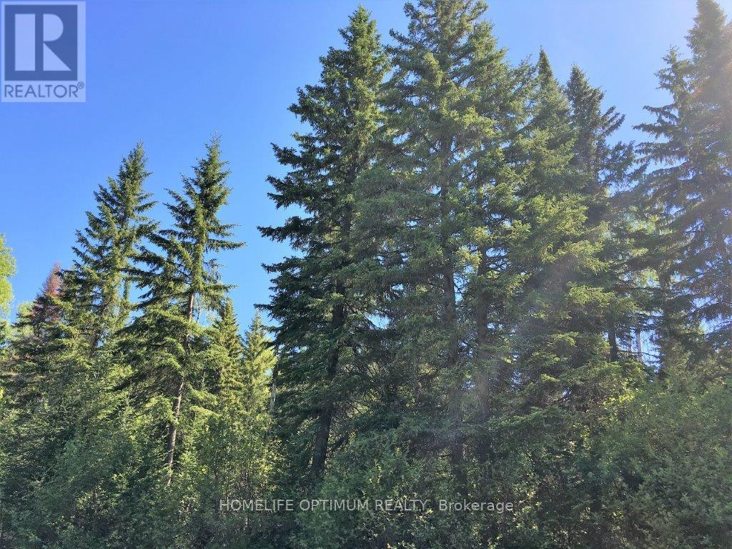 Pcl 8811 N/a, Timmins, Ontario  P4N 2C4 - Photo 14 - T12722972