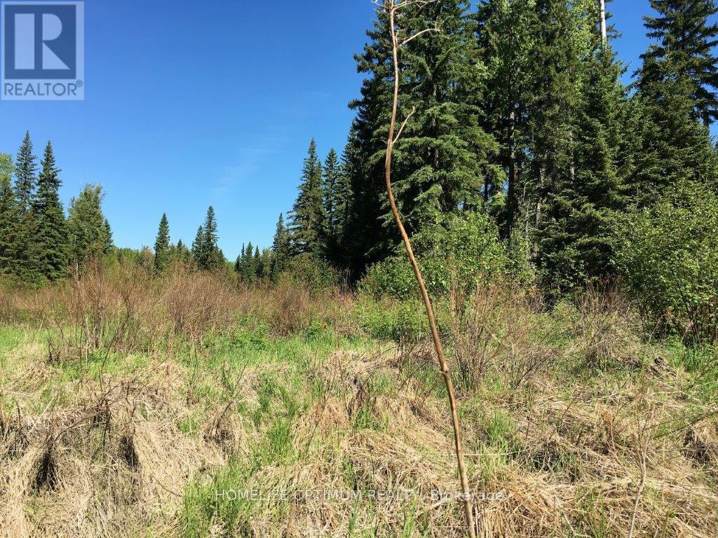 Pcl 8811 N/a, Timmins, Ontario  P4N 2C4 - Photo 6 - T12722972