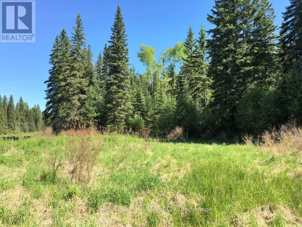 Pcl 8811 N/a, Timmins, Ontario  P4N 2C4 - Photo 8 - T12722972