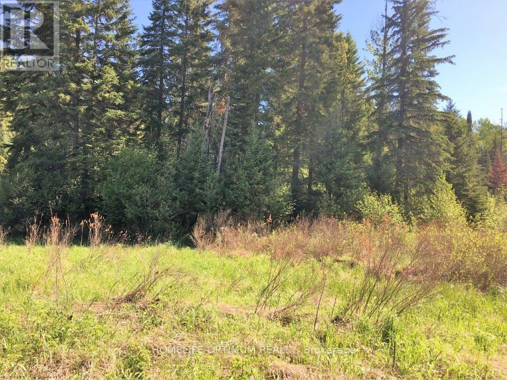 Pcl 8811 N/a, Timmins, Ontario  P4N 2C4 - Photo 11 - T12722974