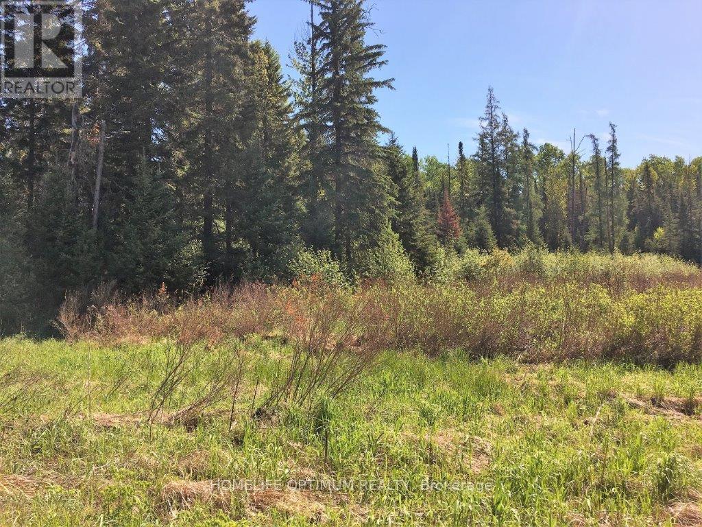 Pcl 8811 N/a, Timmins, Ontario  P4N 2C4 - Photo 12 - T12722974