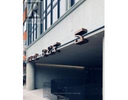 LOWER - 1305 DUNDAS STREET W, Toronto, Ontario