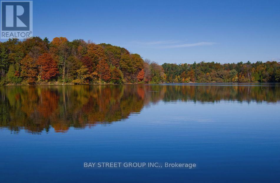 169 Seguin Street, Richmond Hill, Ontario  L4E 2Y9 - Photo 19 - N12723242