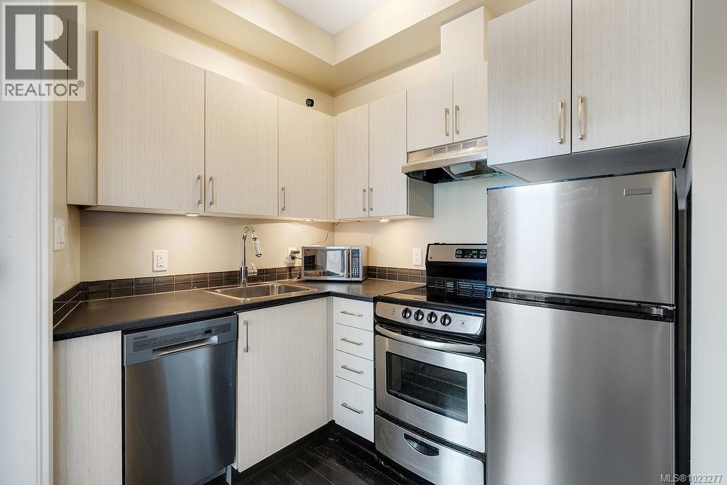 305 1121 Fort St, Victoria, British Columbia  V8V 3K9 - Photo 10 - 1023277