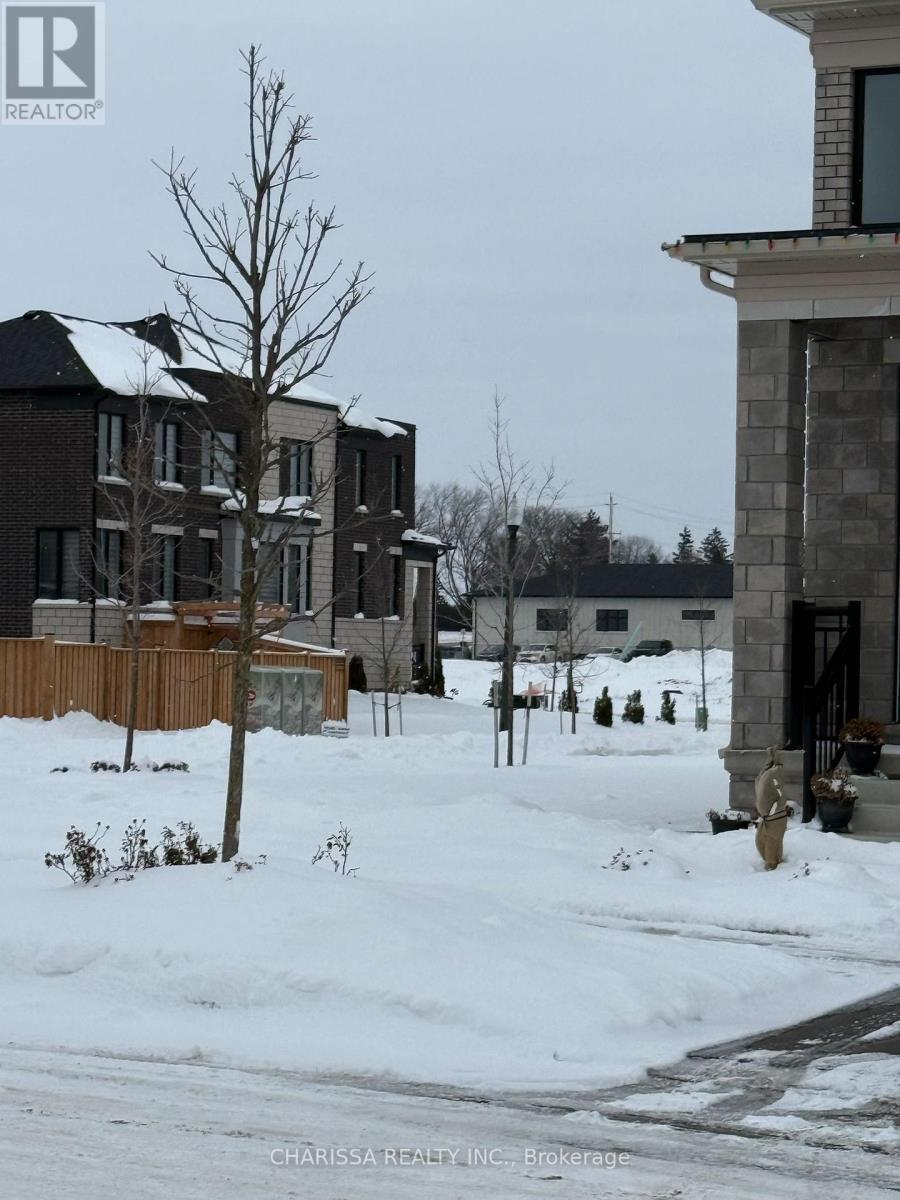 Basement - 831 Sobeski Avenue, Woodstock, Ontario  N4T 0P2 - Photo 12 - X12718428