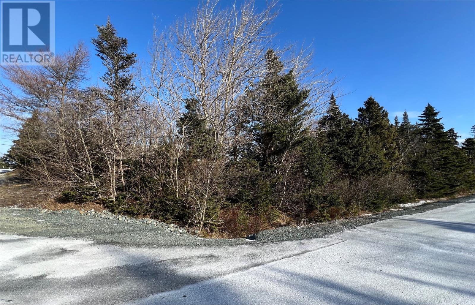 9 Ryan's River Road Goulds Newfoundland & Labrador Canada A1S1G5, for Sale, residential, Haris Barki, Keller Williams Platinum Realty