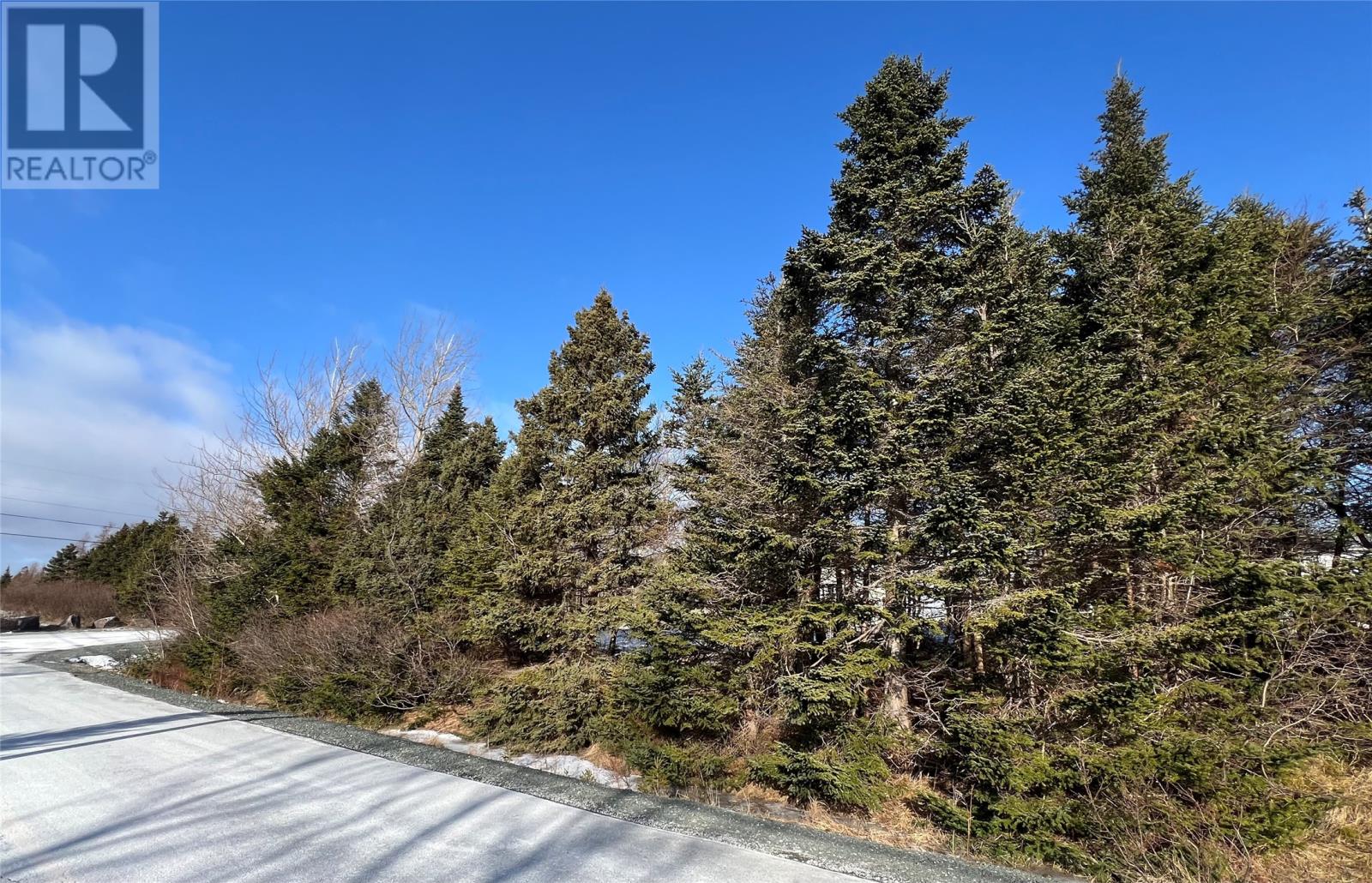 9 Ryan's River Road Goulds Newfoundland & Labrador Canada A1S1G5, for Sale, residential, Haris Barki, Keller Williams Platinum Realty